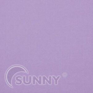 Colibri-Violet