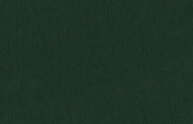 RAL 6005